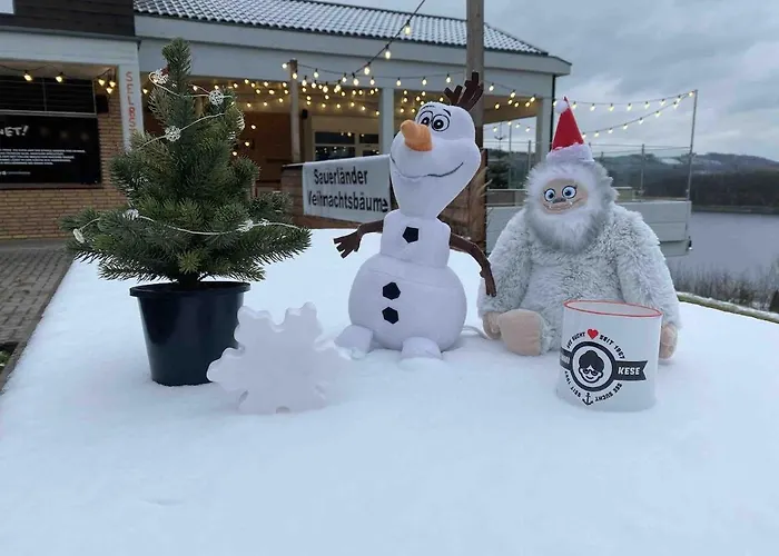 #2 Ommi Kese Sansibar Panorama Balkon Appartement Olpe bei Meschede